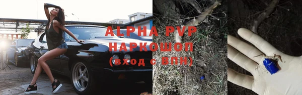 индика Беломорск