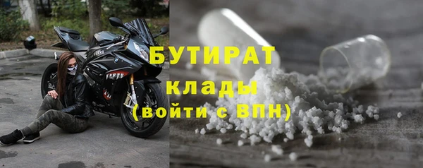 индика Беломорск