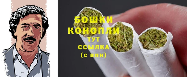 сатива Белокуриха