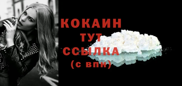 сатива Белокуриха