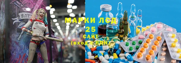 индика Беломорск