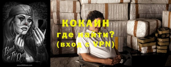 индика Беломорск